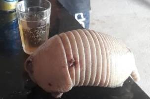 Polícia termina prendendo ex-prefeito flagrado comendo tatu (Foto: -)
