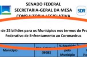 São Raimundo Nonato deve receber R$ 3,5 milhões para ações de combate à Covid-19 (Foto: -)
