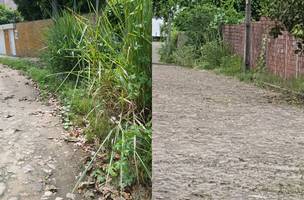 Moradores denunciam falta de serviços de limpeza pública em rua na zona Leste (Foto: -)