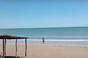 Mão Santa e Adalgisa Moraes são flagrados descumprindo decreto em praia de Luís Correia (Foto: -)