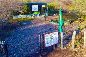 Viveiro Mata Branca recebe visita de empreendedores paulistas (Foto: -)