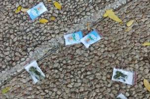 “Tá chovendo maconha”: drone joga sacos de cannabis à população em Tel Aviv (Foto: -)