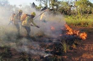 Corpo de Bombeiros registra 15 ocorrências de incêndios em um  mês e faz alerta (Foto: -)