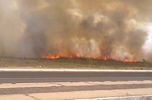 Incêndio de grandes proporções atinge vegetação na Santa Maria da Codipi (Foto: -)