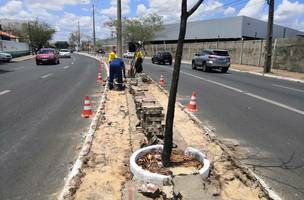 Strans inicia implantação de dois quilômetros de ciclofaixas na Avenida Duque de Caxias (Foto: -)