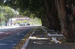 Teresina ocupa o 9º lugar no ranking das capitais em isolamento social (Foto: -)