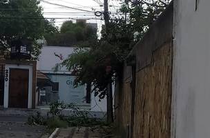 Bairros ficam sem energia elétrica depois de forte chuva em Teresina (Foto: -)