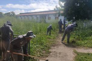 Operação elimina mais de 100 mil focos do mosquito em Teresina, diz prefeitura (Foto: -)